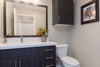 Quartz countertops in kitchen & bathrooms